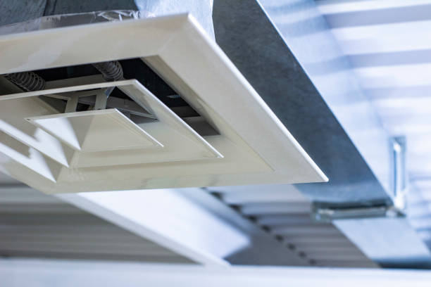 Best Air Vent Cleaning Services  in Rodney Village, DE