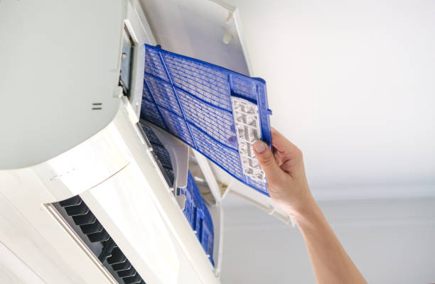 Best Local Air Duct Cleaning Services  in Rodney Village, DE