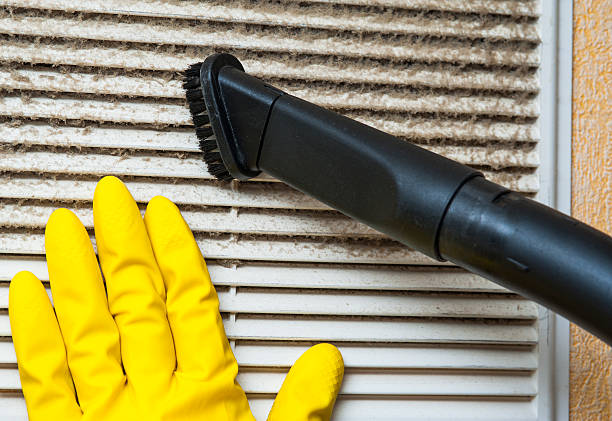 Best Dryer Vent Cleaning Services  in Rodney Village, DE